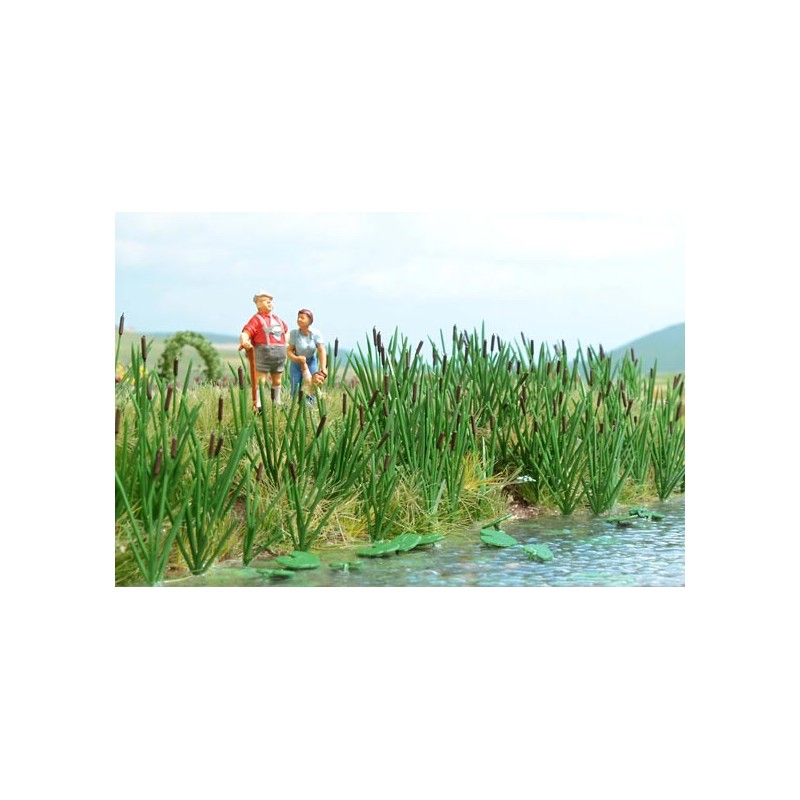 120 canne. BUSCH 1256