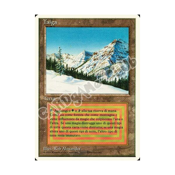 Taiga rara (IT) -NEAR MINT-
