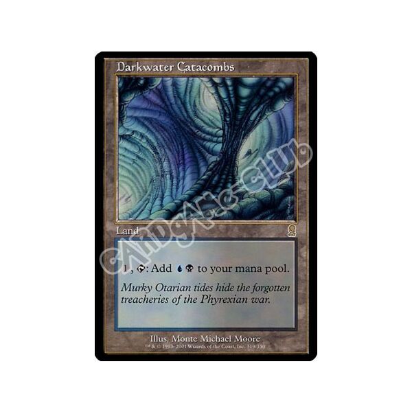 319 / 350 Darkwater Catacombs rara (EN) -NEAR MINT-