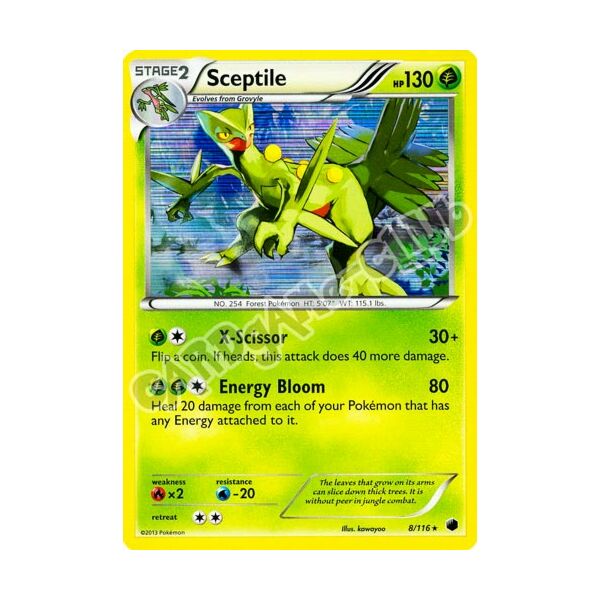 008 / 116 Sceptile rara foil (EN) -NEAR MINT-