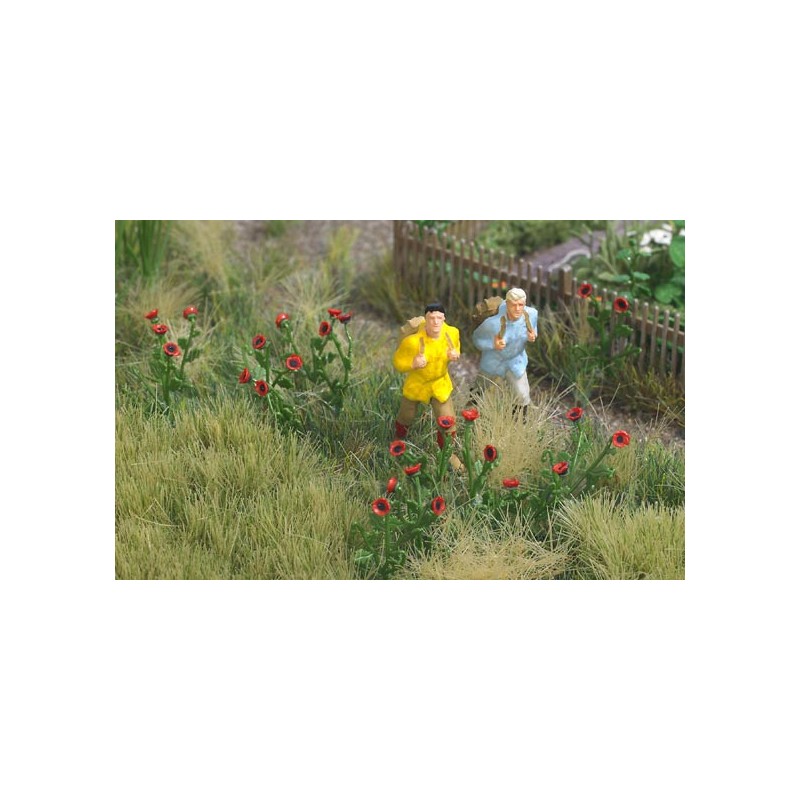 80 papaveri. BUSCH 1255