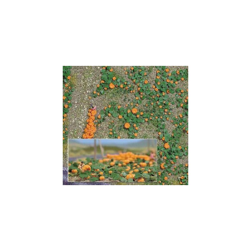 80 zucche. BUSCH 1201