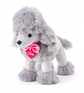 Giglio grigio barboncino, 25 cm