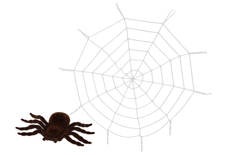 Ragnatela con ragno