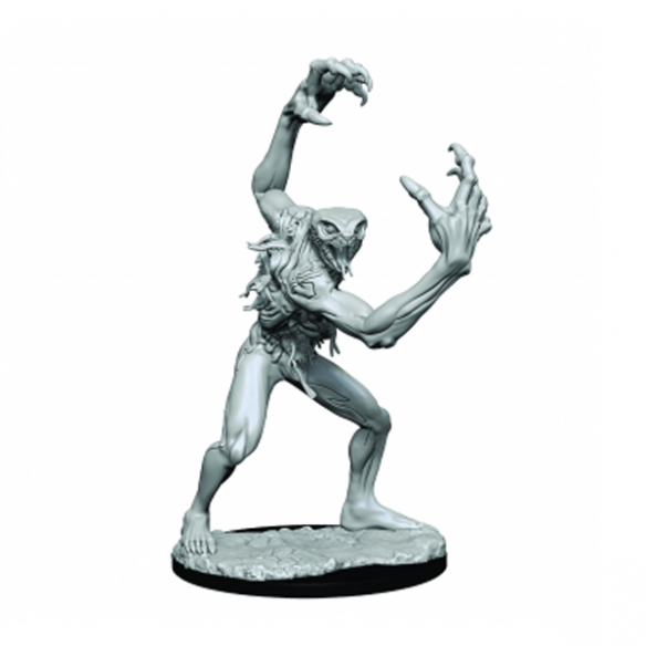 Critical Role Unpainted Miniatures - Aeorian Nullifier