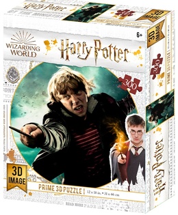 Puzzle 3D Harry Potter-RonWeasley300 pezzi