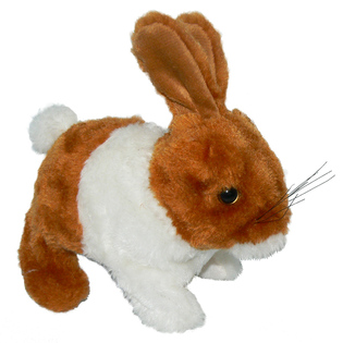 Coniglio Tassorosso