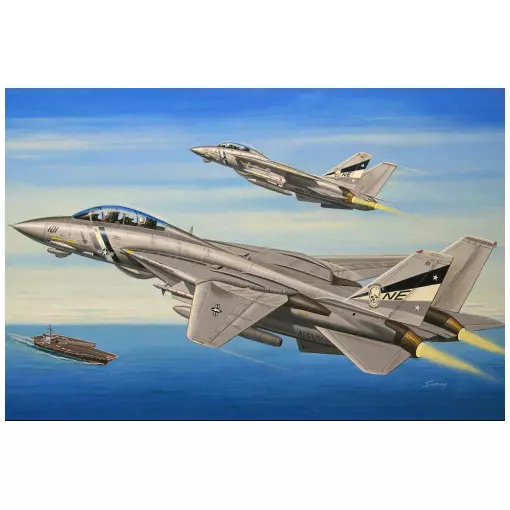 F-14D Super Tomcat - Hobby Boss 80278 - 1/72