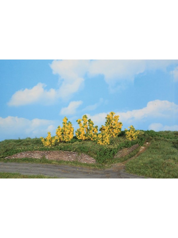 HEKI 11800 Confezione sei arbusti di forsizia (colore giallo) altezza 3-6 cm