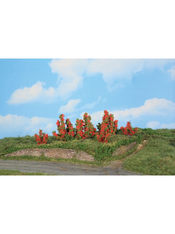 HEKI 11801 Confezione di sei arbusti di rose rosse (altezza 3- 6 cm)