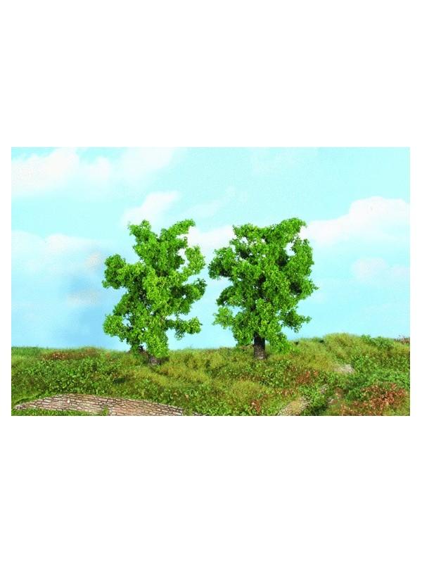 HEKI 19101 Confezione di due piante di peri selvatici alti cm. 14