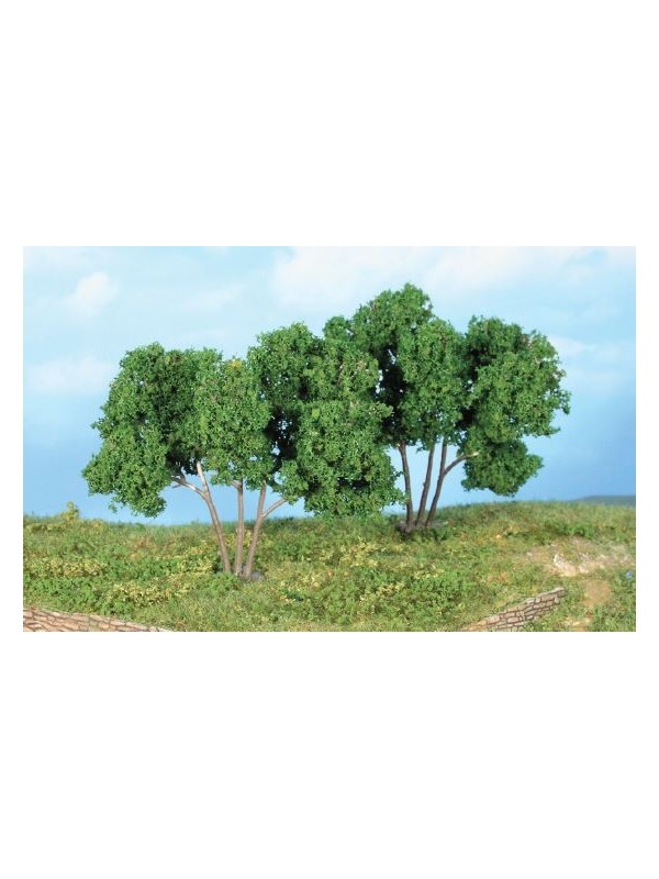 HEKI 19113 Confezione di due alberi carpino (altezza 9 cm)