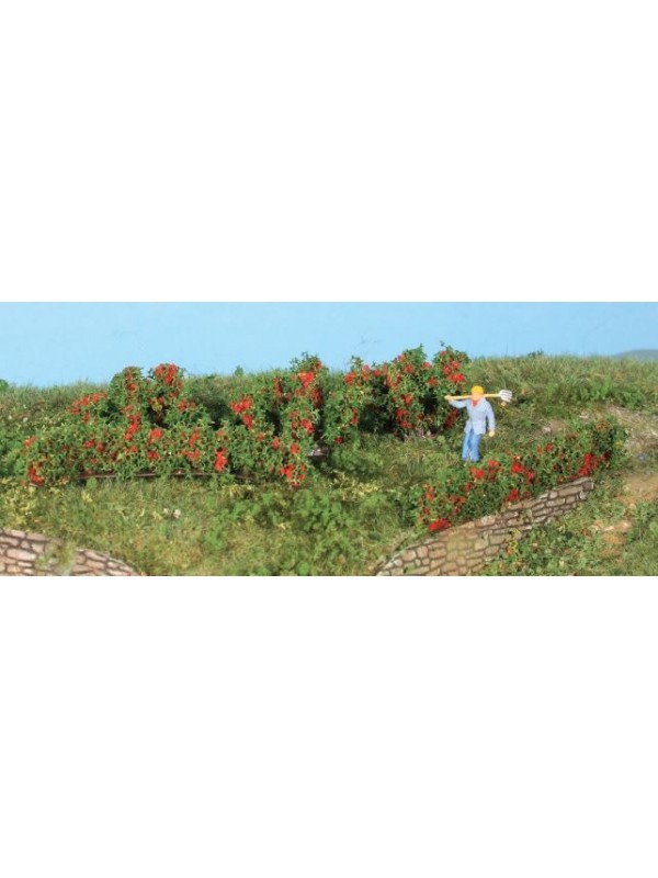 HEKI 19125 Confezione siepi e cespugli di rose (altezza 0.7 - 3 cm - pezzi 10)