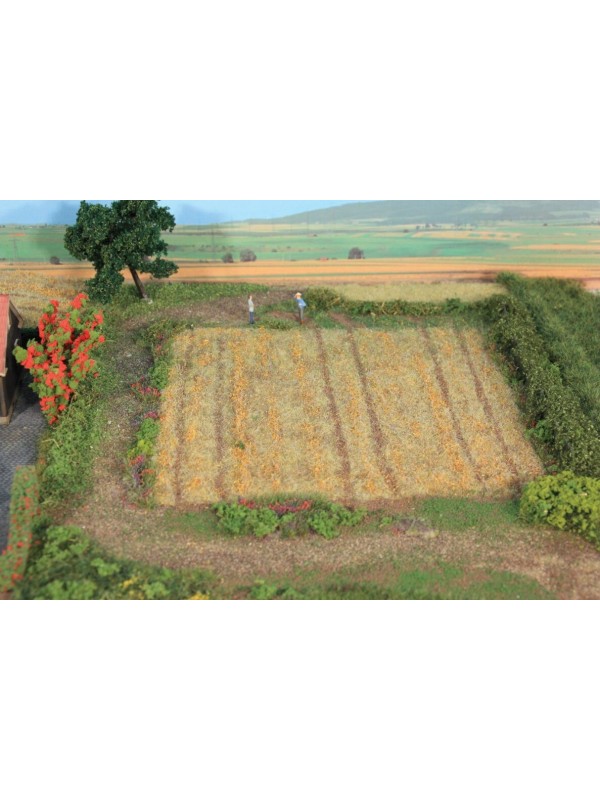 HEKI 33520 Campo di fieno raccolto 2-3 mm gr. 50