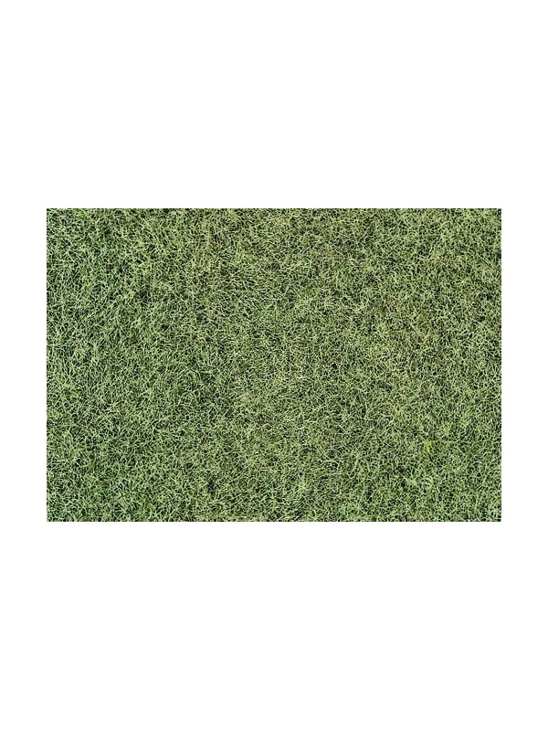 HEKI 33540 Confezione di erba in fibra colore secco gr. 75  (altezza mm. 6)