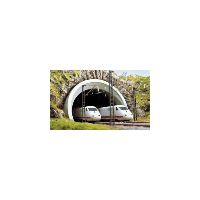 Ingresso del tunnel a doppio binario. BUSCH 8195