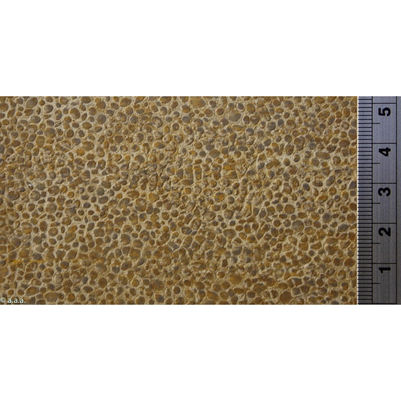 Muro in pietra, effetto muschio. REDUTEX 87PR122