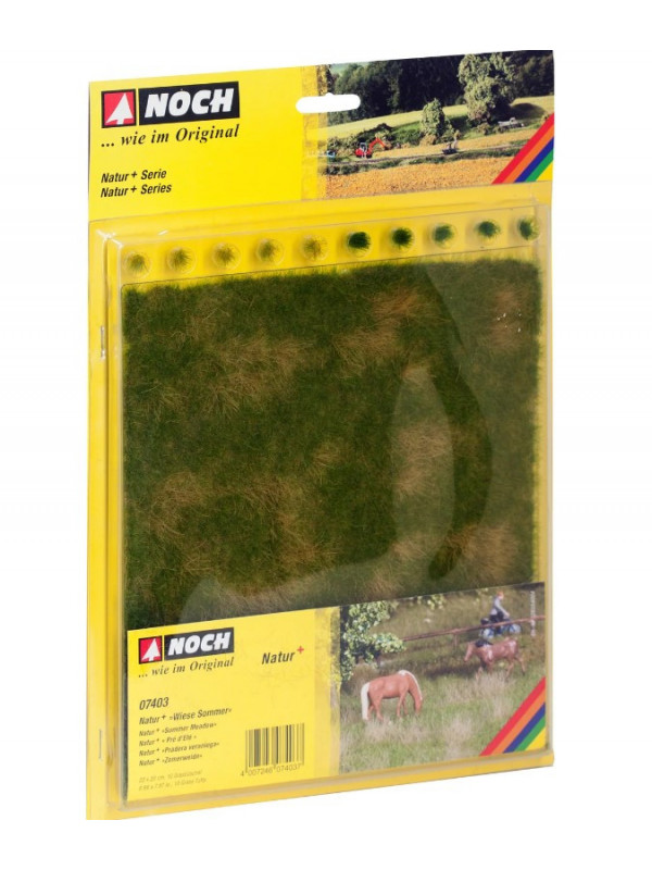 NOCH 07403 Campo estivo (misure cm 22 x 20) con ciuffi d'erba