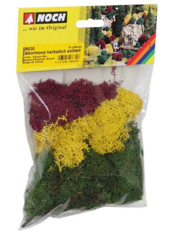 NOCH 08630 Confezione di licheni colori assortiti gr. 35