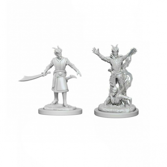 Nolzur's Marvelous Miniatures - Tiefling Male Warlock