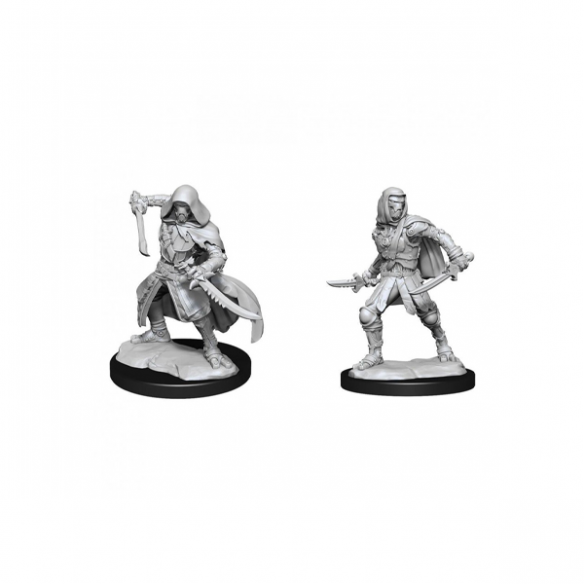Nolzur's Marvelous Miniatures - Warforged Rogue