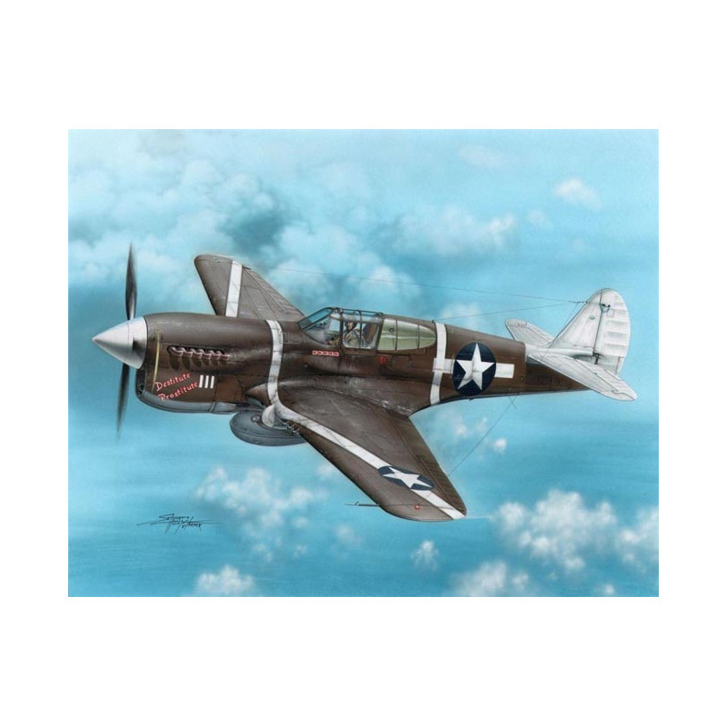 P-40F Warhawk "Falchi di Guadalcanal". SPECIAL HOBBY SH72149