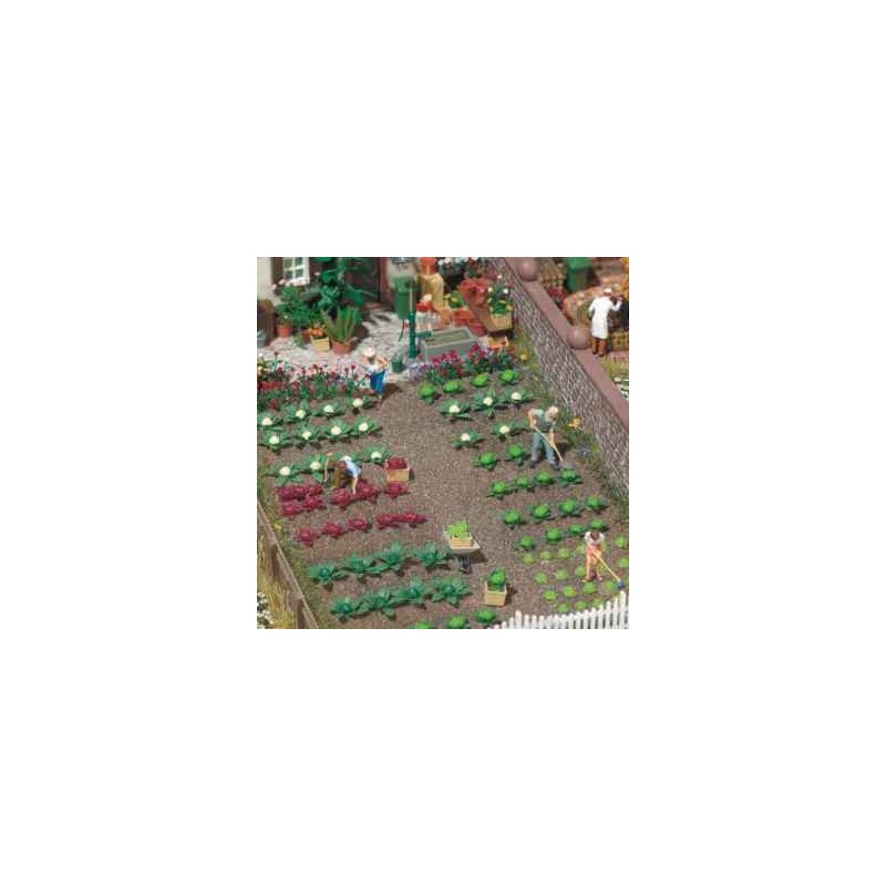 Piante da giardino: cavoli e lattuga. BUSCH 1213