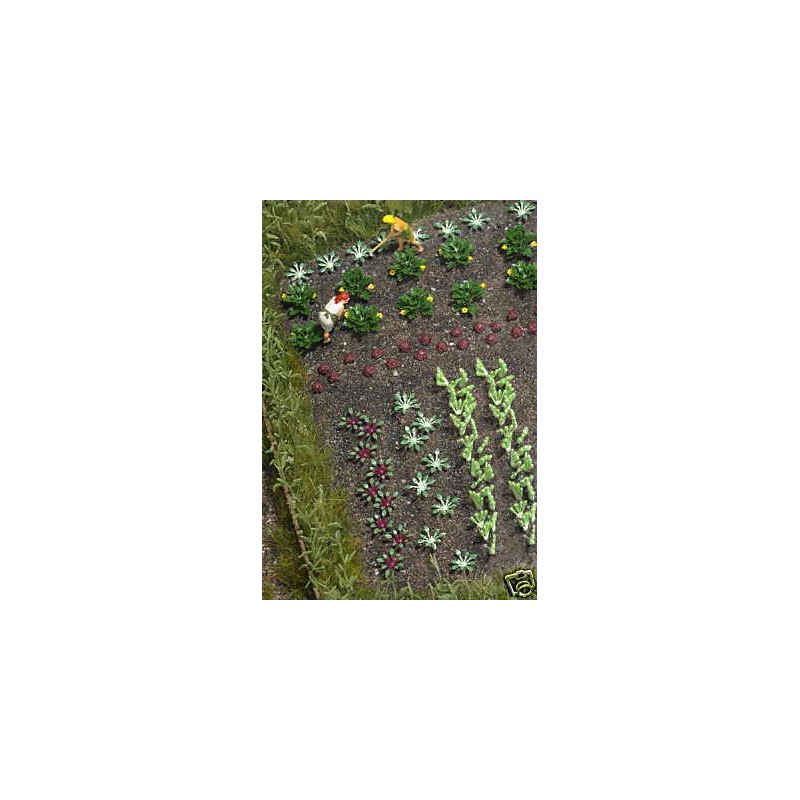 Piante da giardino: ortaggi e lattuga. BUSCH 1222