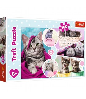 Puzzle da 160 Pezzi - Gattini Adorabili
