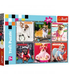 Puzzle da 200 Pezzi - Happy Dogs