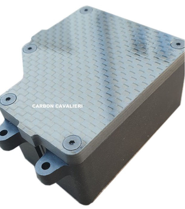 RC CARBON CAVALIERI Copertura radio in carbonio Team Associated RC8B3.2 4002