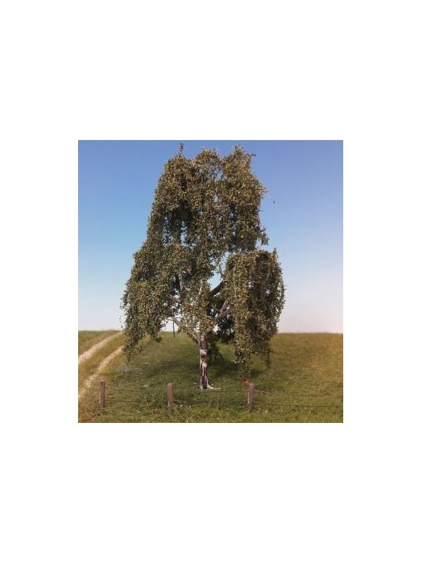 SILHOUETTE 211-42 Betulla piangente in estate alta ca. 12-16 cm.