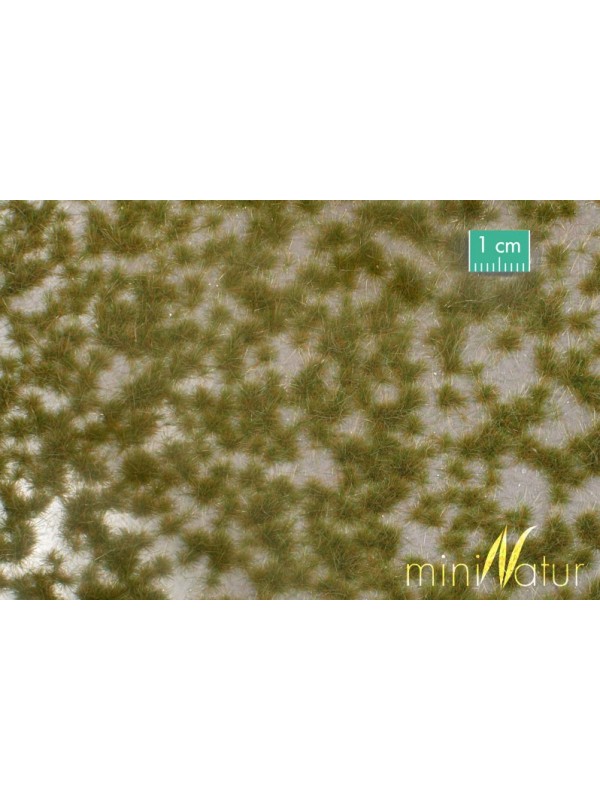 SILHOUETTE 737-23 Ciuffi d'erba color inizio autunno (cm. 42 x 15)