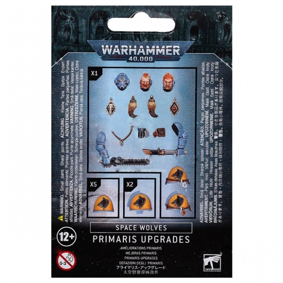Space Wolves - Dotazioni dei Primaris